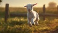 Cute young goat grazing in green meadow at sunset generated by AI Royalty Free Stock Photo