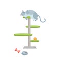 Cute young gray cat lying on scratching post with cat toys. Flat cartoon style vector character illustration on whita background