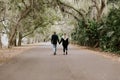 Cute Young Happy Loving Couple Walking Down an Old Abandoned Road with Mossy Oak Trees Overhanging