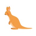 Cute young kangaroo isolated in white background. Cartoon vector illustration Royalty Free Stock Photo