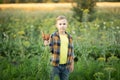 Cute young kid boy child picking fresh organic carrots in a garden or farm, harvesting vegetables. Agriculture, local business and Royalty Free Stock Photo