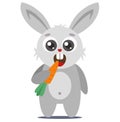 A cute young rabbit holds a carrot in its paw and nibbles.