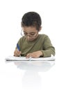 Cute Young Schoolboy Studying with Concentration