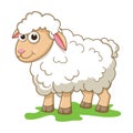 Cute Young Sheep isolated on white background. Farm animal cartoon character. Education card for kids learning animals. Royalty Free Stock Photo