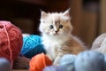 Cute young silvery fold-eared Scottish fold-eared kitten kitten playing balls with skeins of thread on a white Royalty Free Stock Photo