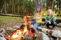 Cute young sisters roasting hotdogs on sticks at bonfire. Children having fun at camp fire. Camping with kids in fall forest Royalty Free Stock Photo