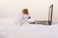 Cute young small dog working on laptop at home. Bedroom. Indoors Royalty Free Stock Photo