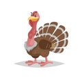Cute young turkey. Cartoon style illustration of farm animal. Big domestic bird. Vector picture