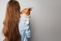 Cute young woman hugging and kissing her puppy basenji dog. Love between dog and owner. Isolated on white background Royalty Free Stock Photo