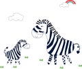 Cute zebra