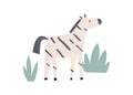 Cute zebra. African jungle animal in Scandinavian style. Adorable sweet funny kawaii tropical striped mammal, baby