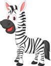 Cute zebra cartoon