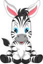 Cute zebra cartoon