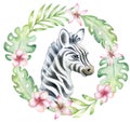 Cute zebra cub in tropical plants, leaves and flowers isolated on white background. Zebra baby Royalty Free Stock Photo