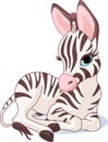 Cute Zebra Foal Royalty Free Stock Photo