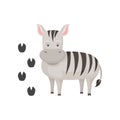 Cute zebra and her footprints. Cartoon character of wild African animal with black-and-white stripes. Zoo theme Royalty Free Stock Photo