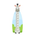 Cute Zebra Kids Height Chart, Growth Meter with Funny Jungle Animal Character. Wall Sticker For Children Height Measure