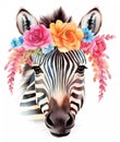 Cute zebra portrait with boho tropical flowers wreath. Jungle animal watercolor illustration on white background Royalty Free Stock Photo