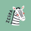 Cute zebra portrait Royalty Free Stock Photo