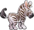 Cute Zebra Vector Illustration