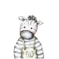 Cute zebra. watercolor illustration. portraits of cute animals. poster for the nursery.