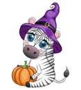 Cute zebra in witch hat, with broom, pumpkin jack, magic potion. Poster, card, label and decoration for Halloween