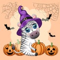 Cute zebra in witch hat, with broom, pumpkin jack, magic potion. Poster, card, label and decoration for Halloween