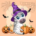 Cute zebra in witch hat, with broom, pumpkin jack, magic potion. Poster, card, label and decoration for Halloween