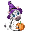 Cute zebra in witch hat, with broom, pumpkin jack, magic potion. Poster, card, label and decoration for Halloween