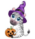 Cute zebra in witch hat, with broom, pumpkin jack, magic potion. Poster, card, label and decoration for Halloween