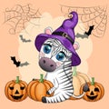 Cute zebra in witch hat, with broom, pumpkin jack, magic potion. Poster, card, label and decoration for Halloween