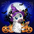 Cute zebra in witch hat, with broom, pumpkin jack, magic potion. Poster, card, label and decoration for Halloween