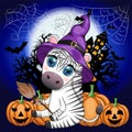 Cute zebra in witch hat, with broom, pumpkin jack, magic potion. Poster, card, label and decoration for Halloween