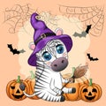 Cute zebra in witch hat, with broom, pumpkin jack, magic potion. Poster, card, label and decoration for Halloween