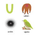 Cute zoo alphabet in vector. U letter. Funny cartoon animals: urchin, uakari, uguisu Royalty Free Stock Photo