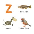 Cute zoo alphabet in .Z letter. Funny cartoon animals: zebra, zebrafish, zebrafinch Royalty Free Stock Photo