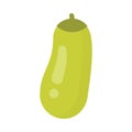 Cute zucchini vegetable, isolated colorful vector icon