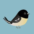 A vector illustration of a cute comic tomtit Royalty Free Stock Photo