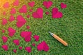 Cuted paper hearts on the grass