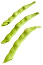 Cuted young bean pods Royalty Free Stock Photo