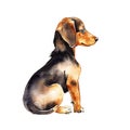 Cuteness Overload: A Colorful and Lively Dachshund Pup Stock Photo You Can\'t Resist! AI Generated