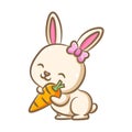 Cutes rabbit with pink ribbon hair clip is standing and holding the orange carrot Royalty Free Stock Photo