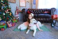 Cutie girl child smiling and sitting hugging with dog in studio Royalty Free Stock Photo