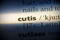 Cutis Royalty Free Stock Photo