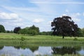 Cutler Brook River in Kedleston, Derby, Derbyshire, England, Europe