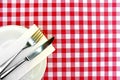 Cutlery on a checkered table cloth Royalty Free Stock Photo