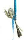 Cutlery with limitation - suicidal cutlery Royalty Free Stock Photo