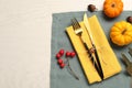 Cutlery, napkins and autumn decoration on white wooden background, flat lay with space for text. Table setting Royalty Free Stock Photo