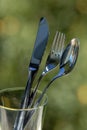 Cutlery on outdoor garden