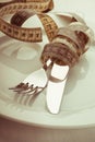 Cutlery on a plate Royalty Free Stock Photo